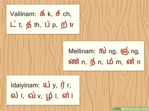 vallinam mellinam idaiyinam tamil|Chapter 1.2 Consonants – Basic Tamil